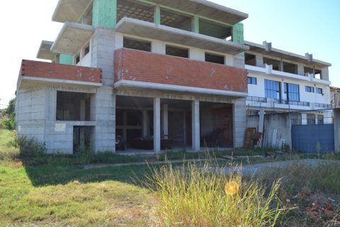 1050m² Negocio en Chalkidiki, Greece No. 58488 10