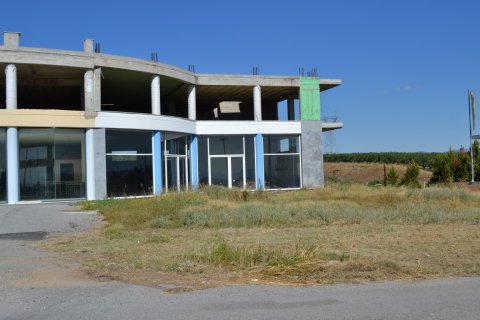 1050m² Business in Chalkidiki, Greece No. 58488 13