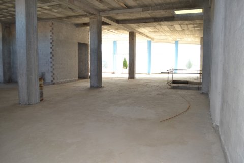 1050m² Business in Chalkidiki, Greece No. 58488 3