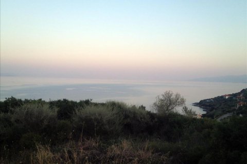 7070m² Land à Chalkidiki, Greece No. 60020 2