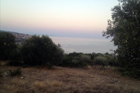 7070m² Land en Chalkidiki, Greece No. 60020 5