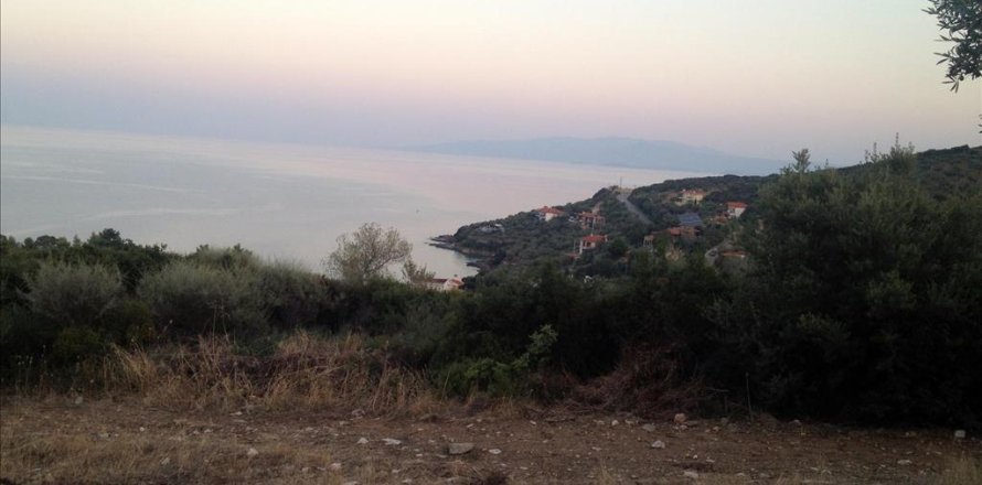 7070m² Land en Chalkidiki, Greece No. 60020