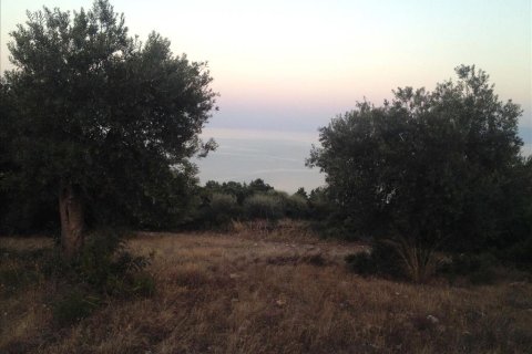 7070m² Land en Chalkidiki, Greece No. 60020 4