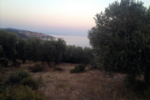 7070m² Land in Chalkidiki, Greece No. 60020 3