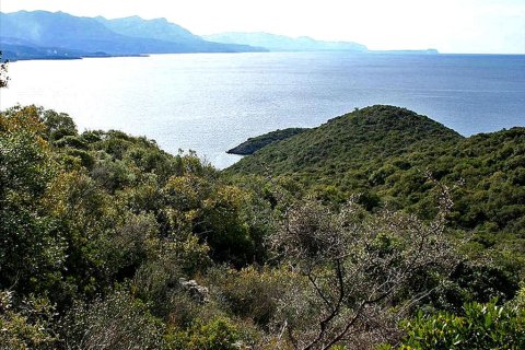 16200m² Land in Kalamata, Greece No. 60090 1