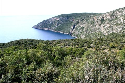 16200m² Land en Kalamata, Greece No. 60090 3