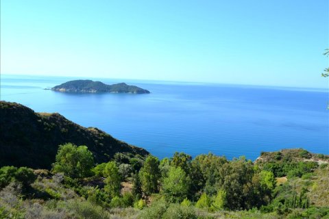 30000m² Land in Zakynthos, Greece No. 60096 1