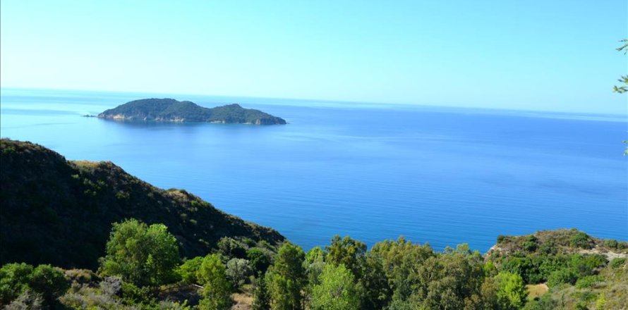 30000m² Land en Zakynthos, Greece No. 60096