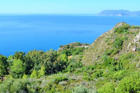 30000m² Land en Zakynthos, Greece No. 60096 2