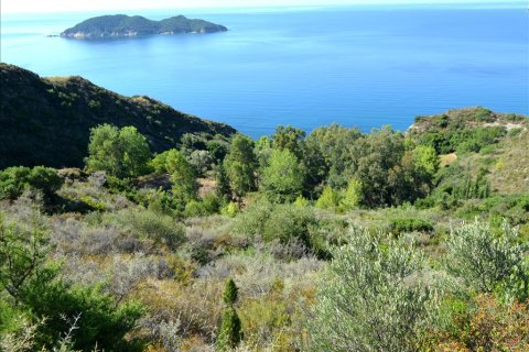 30000m² Land en Zakynthos, Greece No. 60096 5