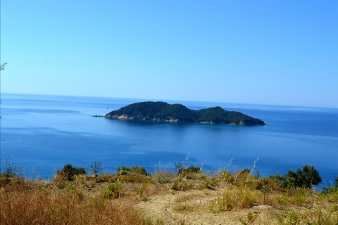 30000m² Land in Zakynthos, Greece No. 60096 6