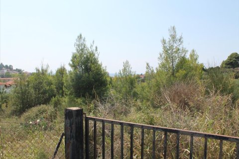 4025m² Land en Chalkidiki, Greece No. 60095 2