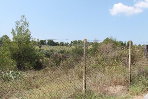 4025m² Land in Chalkidiki, Greece No. 60095 1