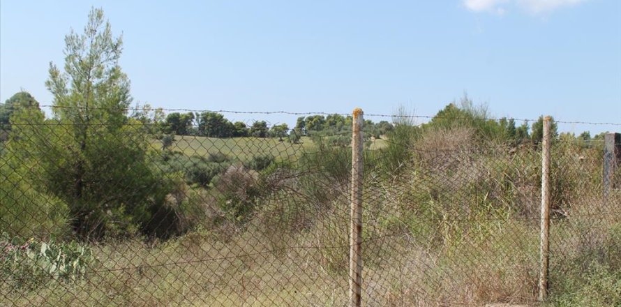 4025m² Land in Chalkidiki, Greece No. 60095