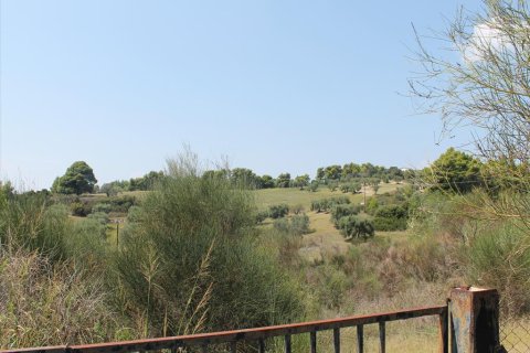 4025m² Land in Chalkidiki, Greece No. 60095 3