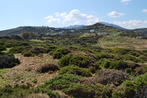 13253m² Land à Gazi, Greece No. 57514 5