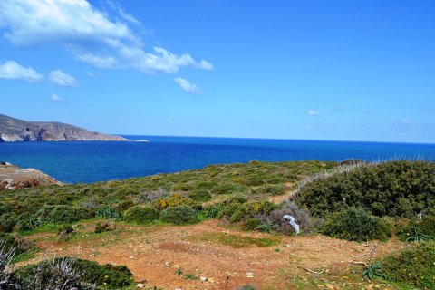 13253m² Land in Gazi, Greece No. 57514 1