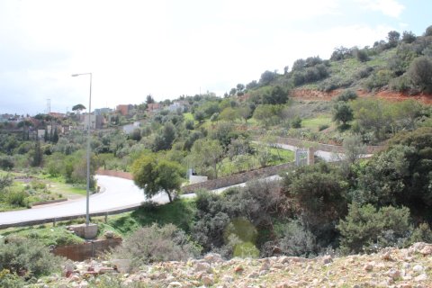 17000m² Land in Agios Nikolaos, Greece No. 57516 6