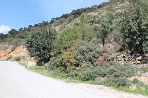 17000m² Land à Agios Nikolaos, Greece No. 57516 3