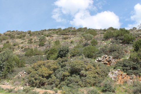 17000m² Land in Agios Nikolaos, Greece No. 57516 4