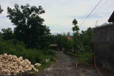 Land en Jimbaran, Indonesia No. 23128 3