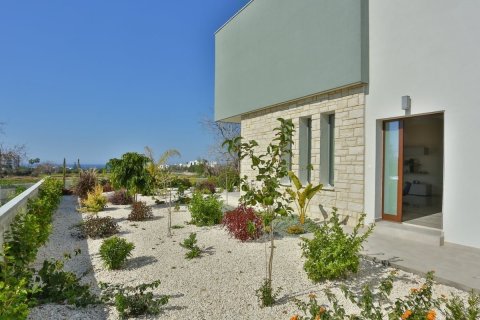 199m² Villa in Paphos, Cyprus No. 37086 12