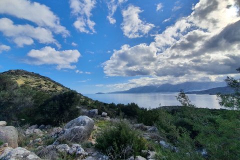 49121m² Land en Agios Nikolaos, Greece No. 56490 2