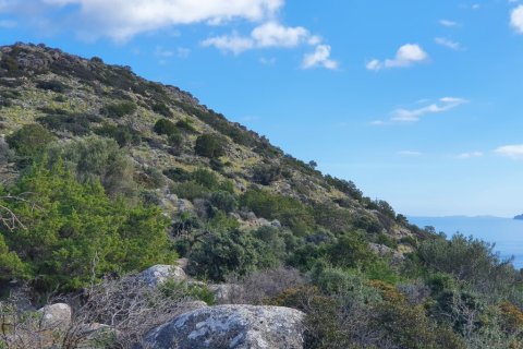 49121m² Land en Agios Nikolaos, Greece No. 56490 3