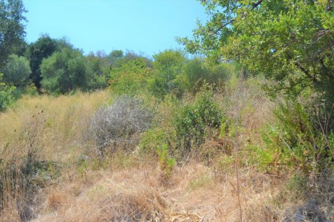 7700m² Land in Corfu, Greece No. 56489 6