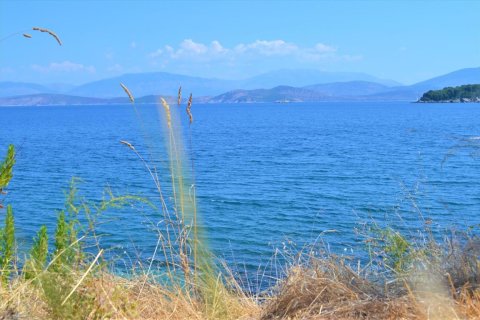 7700m² Land in Corfu, Greece No. 56489 2