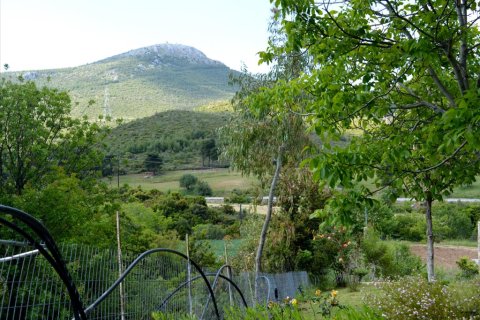 2 chambres House à Euboea, Greece No. 59222 6