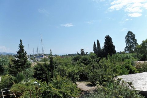 280m² Business in Corfu, Greece No. 57957 12