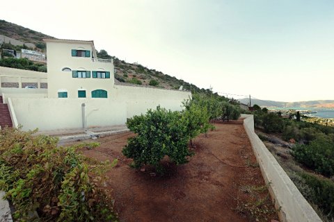 6 chambres Villa à Agios Nikolaos, Greece No. 57958 4