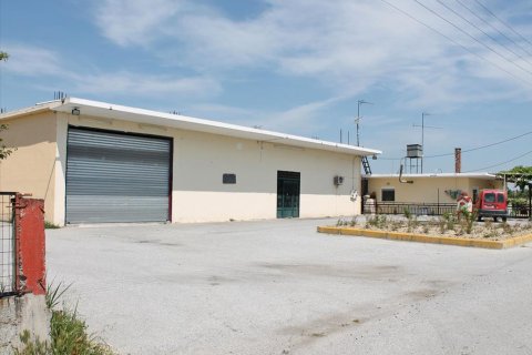 630m² Negocio en Pieria, Greece No. 59621 1