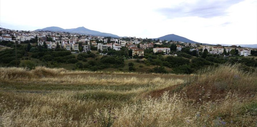 6660m² Land in Thermi, Greece No. 59626