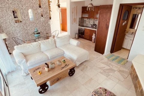 1 chambre Villa à Central Greece, Greece No. 48817 11