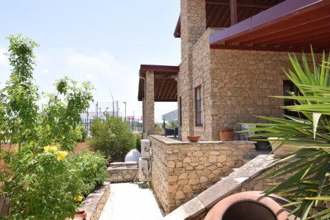 4 bedrooms Villa in Nicosia, Cyprus No. 28037 16