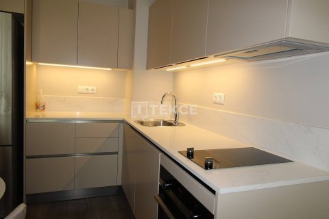 1+1 Appartement à Istanbul, Turkey No. 11891 19