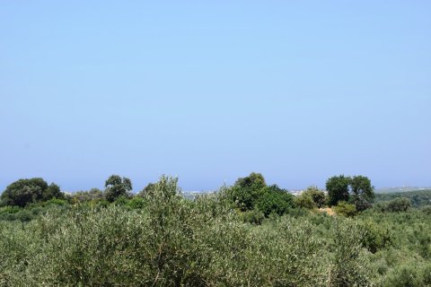 11500m² Land en Rethymno, Greece No. 57021 4