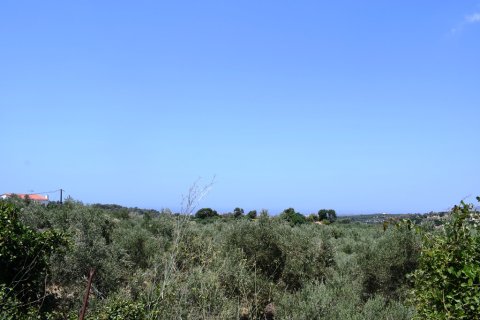 11500m² Land en Rethymno, Greece No. 57021 1