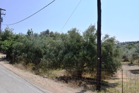 11500m² Land en Rethymno, Greece No. 57021 7