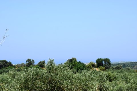 11500m² Land in Rethymno, Greece No. 57021 2