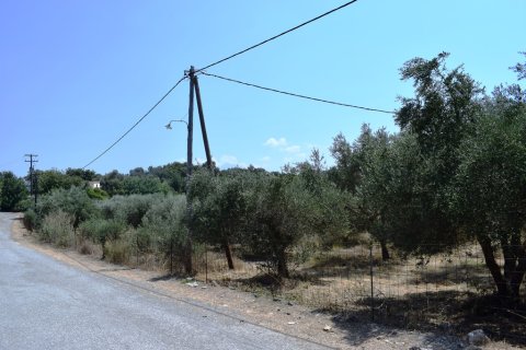 11500m² Land in Rethymno, Greece No. 57021 8