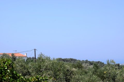 11500m² Land in Rethymno, Greece No. 57021 3