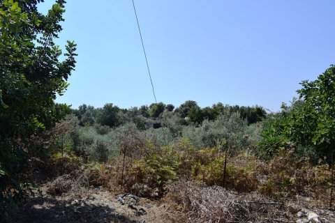 11500m² Land en Rethymno, Greece No. 57021 11