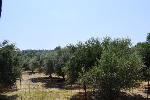 11500m² Land in Rethymno, Greece No. 57021 10