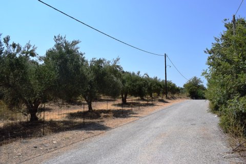 11500m² Land in Rethymno, Greece No. 57021 6