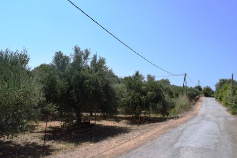 11500m² Land à Rethymno, Greece No. 57021 5