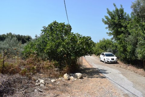 11500m² Land à Rethymno, Greece No. 57021 9