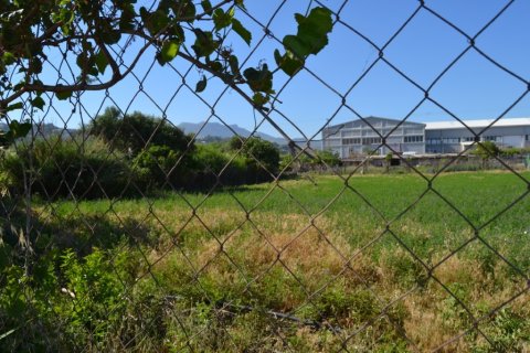 6250m² Land à Heraklion, Greece No. 56995 5